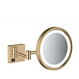 HANSGROHE - Hansgrohe AddStoris Miroir cosmétique mural avec éclairage LED, Bronze brossé (41790140) - vignette