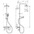 HANSGROHE - Hansgrohe Vernis Shape Colonne de douche 230 1jet EcoSmart 9l/min avec mitigeur thermostatique, Noir mat (26097670-SP) - vignette