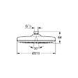 GROHE - Grohe Tempesta 210 Douche de tête 1 jet (26410000) - vignette