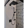 HANSGROHE - Hansgrohe Douche de tête Raindance E300, 1 jet avec bras de douche, noir mat (26238670) - vignette