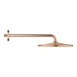 GROHE - Grohe Rainshower Mono 310 ensemble douche de tête et bras 422 mm, 1 jet, warm sunset brossé (G26558DL0) - vignette