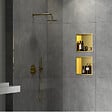 SWISS AQUA TECHNOLOGIES - Swiss Aqua Technologies Niche de Douche à encastrer, Acier Inoxydable 304, 30x30x10cm, Or brossé PVD (SATAURN3030BG) - vignette