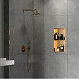 SWISS AQUA TECHNOLOGIES - Swiss Aqua Technologies Aurum Niche de Douche à encastrer, Acier Inoxydable 304, 2 étagères, 60x30x10cm, Cuivre brossé PVD (SATAURN6030SBRG) - vignette