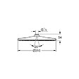 GROHE - Rainshower Mono 310 douche de tête 1 jet, chrome (G26562000) - vignette