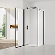SWISS AQUA TECHNOLOGIES - Swiss Aqua Technologies Fusion ensemble porte pivotante /paroi 100x90cm anticalcaire avec profilés noir mat (SATFUD100S90C-SET) - vignette