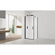 SWISS AQUA TECHNOLOGIES - Swiss Aqua Technologies Fusion ensemble porte pivotante /paroi 100x80cm anticalcaire avec profilés noir mat (SATFUD100S80C) - vignette