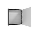 SWISS AQUA TECHNOLOGIES - Swiss Aqua Technologies Armoire à miroir SAT Delano 60x60 cm stratifié noir (DELANOG60C) - vignette