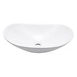 SWISS AQUA TECHNOLOGIES - Swiss Aqua Technologies Vasque à poser Infinitio 61,5 x 36 x 15,5 cm, sans trop-plein, blanc brillant (SATINF61536) - vignette