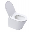 SWISS AQUA TECHNOLOGIES - Swiss Aqua Technologies Infinitio WC suspendu sans bride fixations invisibles, Abattant frein de chute, Blanc mat SATINF010RREXPWM - vignette
