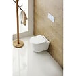 GEBERIT - pack Bati-support Geberit UP100 + plaque Delta50 blanche + cuvette SAT suspendue sans bride et fixations invisibles (SATrimlessG - vignette