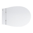 GROHE - Grohe Bau Ceramic ensemble WC suspendu sans bride + abattant SoftClose en Duroplast, blanc (G39899000) - vignette