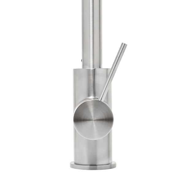 SWISS AQUA TECHNOLOGIES - Swiss Aqua Technologies Aurum mitigeur évier à levier sur pied 44 cm avec douchette extractible 2 jets, inox (SATBAUR286NRZ) - large