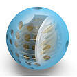 SWISS AQUA TECHNOLOGIES - IPS WashBall : solution anticalcaire et économique pour lave-vaisselle et lave-linge (SWB) - vignette