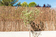 SICATEC - Brande de bruyère naturelle 1kg - 1.5x5 m - vignette
