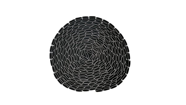 SICATEC - Canisse PVC double face 1,5x3m gris - SICATEC - large