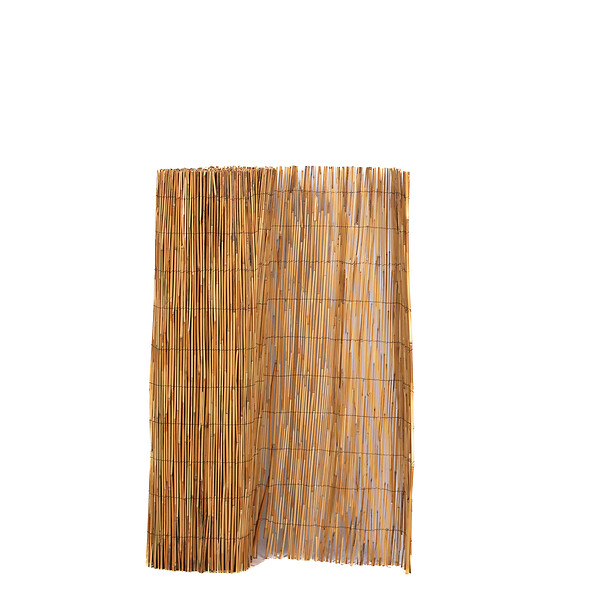 SICATEC - Paillon en roseaux fins pelé brillant - 1x5 m - large