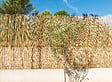 SICATEC - Paillon en roseaux fins pelé brillant - 1.5x5 m - vignette
