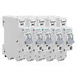 SIEMENS - Lot de 5 disjoncteurs Auto P+N 10A-SIEMENS - vignette
