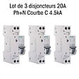 SIEMENS - SIEMENS Lot 3 disjoncteurs phase + neutre 20A, qualité et fiabilité garanties par SIEMENS - vignette