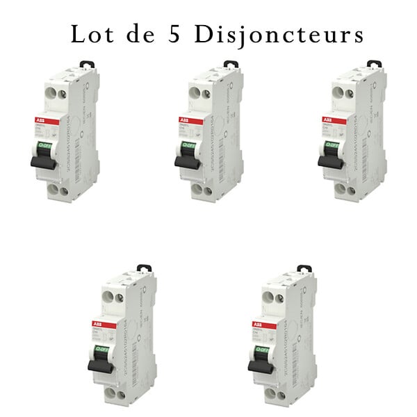 ABB - Lot de 5 disjoncteurs Ph+N raccordement Vis 16A-4,5Ka - Courbe  C-ABB - large
