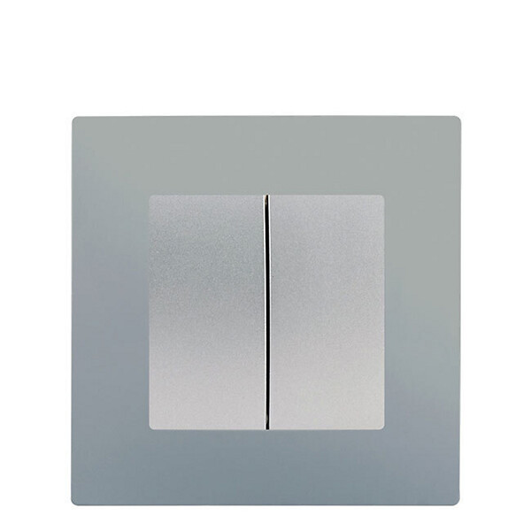 SIEMENS - SIEMENS Double V&V SILVER Siemens DELTA VIVA plq SILVER - large