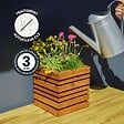 CERLAND - BAC A FLEURS CARRE 8L - vignette