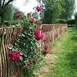ART GARDEN - Panneau cloture noisetier en tressage vertical - H75 X L 150 cm - vignette