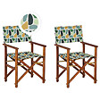 BELIANI - Lot de 2 chaises de jardin CINE Acacia Multicolore - vignette
