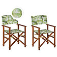 BELIANI - Lot de 2 chaises de jardin CINE Acacia Vert clair - vignette