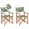 BELIANI - Lot de 2 chaises de jardin CINE Acacia Vert - vignette