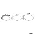 BELIANI - Lot de 3 lampes décoratives d'extérieur LED FARALLON Avec télécommande Blanc - vignette