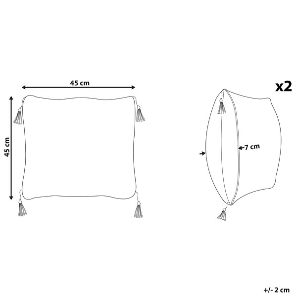 BELIANI - Lot de 2 coussins décoratifs LIRIOPE 45 x 45 cm Noir/blanc Motif géométrique - large
