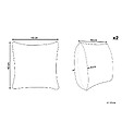 BELIANI - Lot de 2 coussins décoratifs DIANELLA 45 x 45 cm Vert foncé Motif de plante - vignette