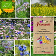 ASSOCIATION KOKOPELLI - Mélange Fleurs mellifères- Graines bio à semer - vignette