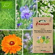 ASSOCIATION KOKOPELLI - Mélange Pâturage pour les abeilles- Graines bio à semer - vignette