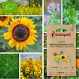ASSOCIATION KOKOPELLI - Mélange Spécial Printemps et Été- Graines bio à semer - vignette