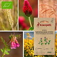 ASSOCIATION KOKOPELLI - Mélange Spécial Automne et Hiver- Graines bio à semer - vignette