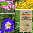 ASSOCIATION KOKOPELLI - Mélange Fleurs mellifères et résistantes- Graines bio à semer - vignette