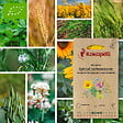 ASSOCIATION KOKOPELLI - Mélange Spécial Carbone et Azote- Graines bio à semer - vignette