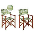 BELIANI - Lot de 2 chaises de jardin CINE Acacia Vert clair - vignette