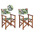BELIANI - Lot de 2 chaises de jardin CINE Acacia Vert - vignette
