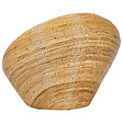 BELIANI - Ensemble de 2 fauteuils de jardin MAIORI Rotin Naturel - vignette