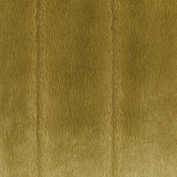 BELIANI - Lot de 2 coussins décoratifs PUMILA Fourrure synthétique 45 x 45 cm Vert olive À rayure - large