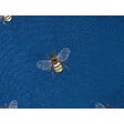 BELIANI - Lot de 2 coussins décoratifs TALINUM Velours 45 x 45 cm Bleu Motif animal - vignette