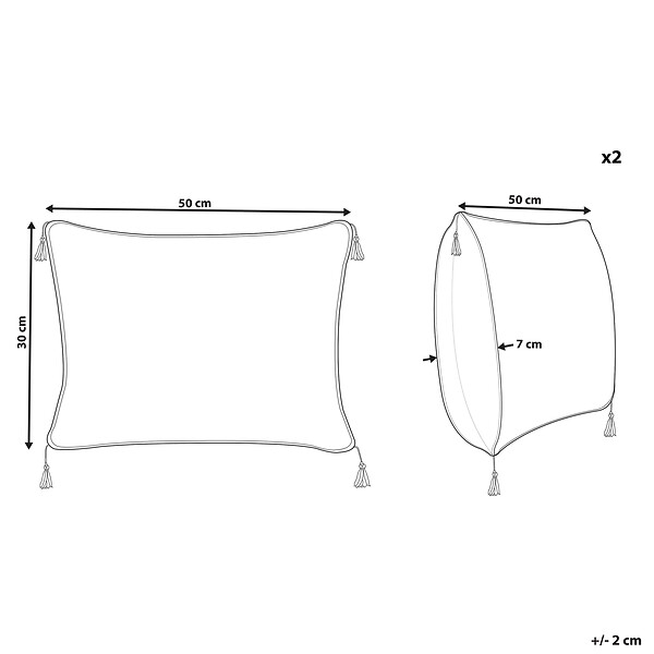 BELIANI - Lot de 2 coussins décoratifs SCHEFFLERA Velours 30 x 50 cm Blanc Motif géométrique - large
