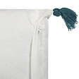 BELIANI - Lot de 2 coussins décoratifs RUMEX Coton 45 x 45 cm Bleu Motif floral - vignette
