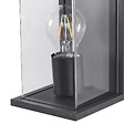 BELIANI - Lampe murale pour l'extérieur WAKAL Noir - vignette