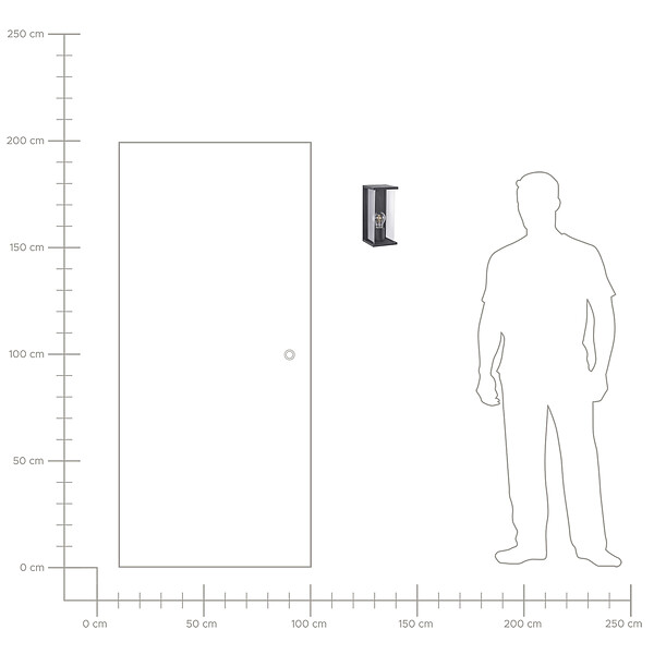 BELIANI - Lampe murale pour l'extérieur WAKAL Noir - large