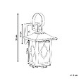 BELIANI - Lampe murale pour l'extérieur SHAGGIE Marron - vignette