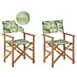 BELIANI - Lot de 2 chaises de jardin CINE Acacia Vert clair - vignette